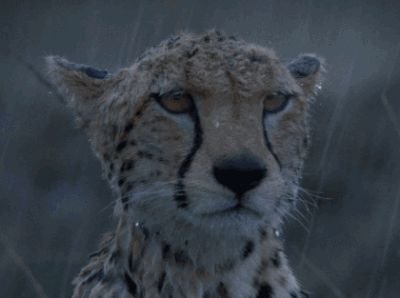 pqDIxCViMNEoFhS's profile picture. beatbox