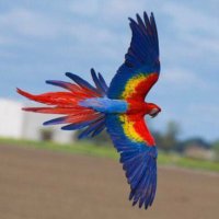 ssH44 (@mbark0014) Twitter profile photo