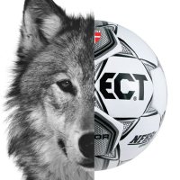 Buford Lady Wolves Soccer(@BLadyWolves) 's Twitter Profileg