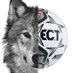 Buford Lady Wolves Soccer (@bladywolves) Twitter profile photo Buford Lady Wolves Soccer (@bladywolves) Twitter profile photo
