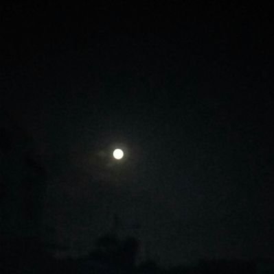 YENMEI31's profile picture. Creyente en Dios,Profesional de Educacion Inicial ,maestria en Ciencias,madre y abuela feliz amante de la justicia y la fotografia de paisajes Amo mi País!