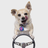 bobwalkerphoto's profile image