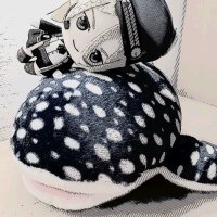 リフィン (@rifine_mp) 's Twitter Profile