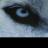 wendigo1977's profile image
