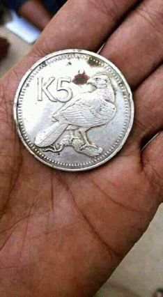 KDog656's profile picture. 