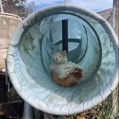 Gianni44964231's profile picture. Fotografia, Teatro, viaggi, curiosità e voglia di mettersi in gioco sempre ... il mio modo di essere, il mio modo di vivere.