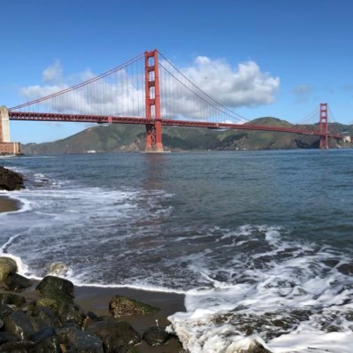 lameauflo's profile picture. 