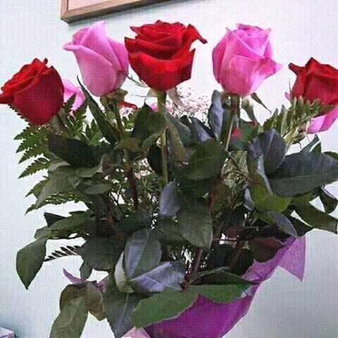 franciskinyua15's profile picture. Just one of God's creation,