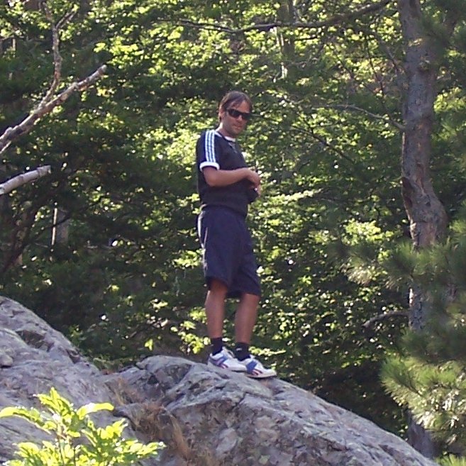 DavideTravagli4's profile picture. Researcher in forest sciences