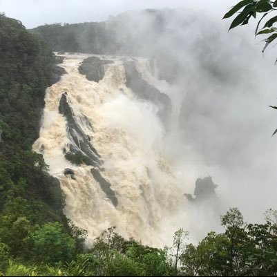 Frank71130194's profile picture. Fifa mobile fan