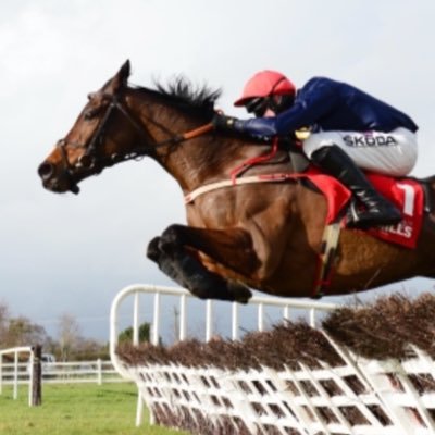 Daily Double Horse Betting