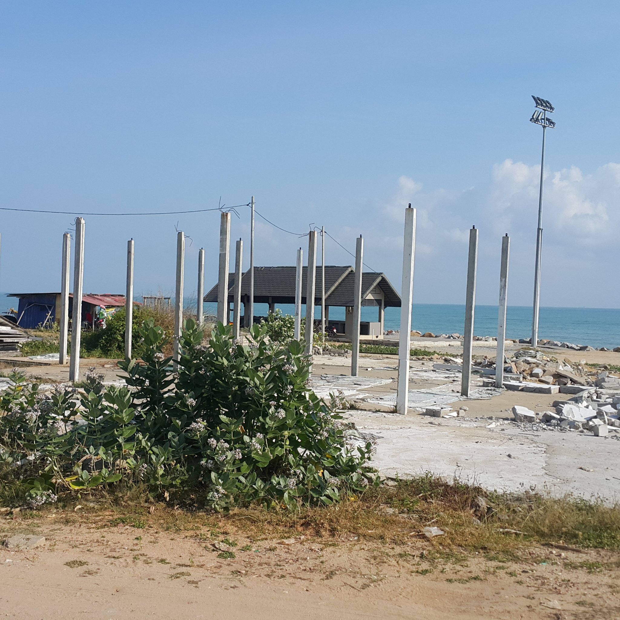 Aktb11's profile picture. malay 7 inc discreet for fun