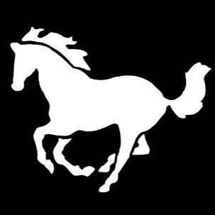 PonySeattle's profile picture. Pony is the gayest gay bar in Seattle. It's got naked guys on the walls and an awesome patio!