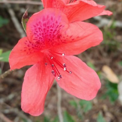 miranda_8_8's profile picture. 