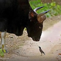 మూర్తి (@abstractcls) 's Twitter Profile