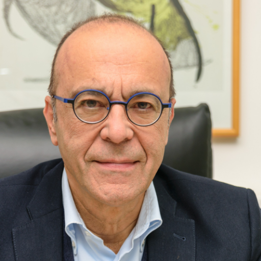 Professor, UPatras & FORTH, Greece; Fellow @EURASC; Member @AcademiaEuropaea; Member of EB @GrapheneFlagship; EiC of Graphene & 2D Materials (Springer-Nature)