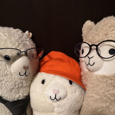 めほほさんのプロフィール画像