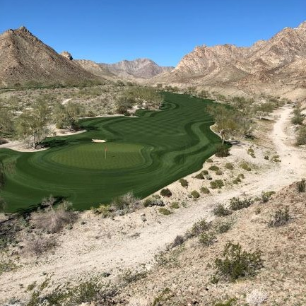 Earlysturf Profile