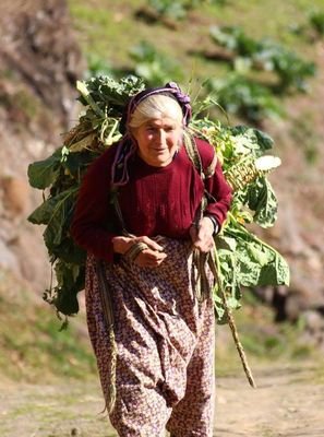 Atanamayan Yüksek Mühendis