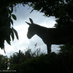 Balades en Corse (@baladesencorse) Twitter profile photo Balades en Corse (@baladesencorse) Twitter profile photo