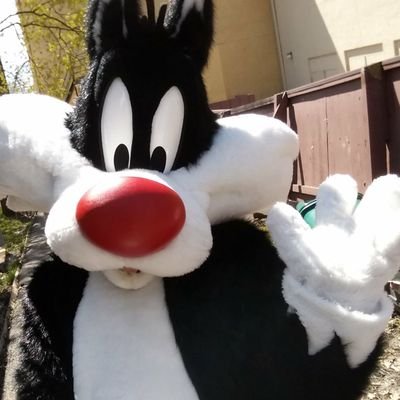 Vaughnblondetailさんのプロフィール画像