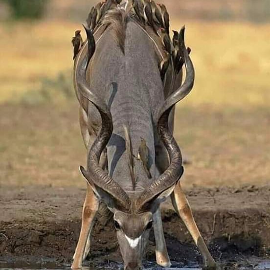 K75305061's profile picture. 