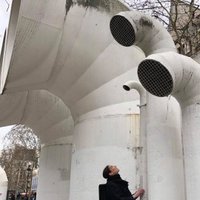 Dr Delfina Fantini van Ditmar (@delfina_fantini) 's Twitter Profile
