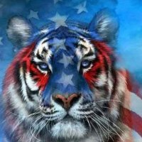 Mike Naz 🇺🇸🇺🇸🇺🇸🇺🇸🇺🇸🇺🇸🇺🇸🇺🇸🇺🇸(@m7kenas) 's Twitter Profile Photo