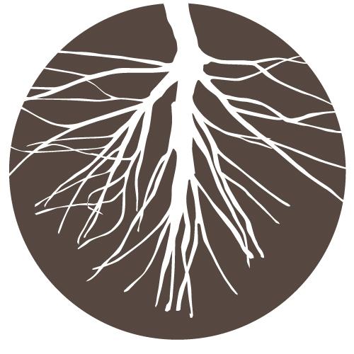 RootedAustin's profile picture. Dig in. Dig deep.