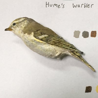 ornithology enthusiast, painter, and writer
