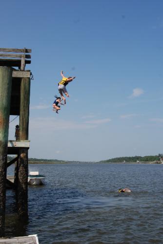 elmsacct's profile picture. 