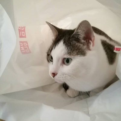 hotaru_beni's profile picture. お気軽にフォローしてください&無言フォロー失礼します！
グラブル/LoV/アーセナルベース/ロルカナ/GCG/miwa/ZONE/巨人(小林誠司 亀井善行)