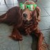 Donal O Connor (@donal71622805) Twitter profile photo Donal O Connor (@donal71622805) Twitter profile photo