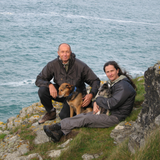 Worn by time and tide but still hanging about on the beach. We've both been vegan for 35+ years, live in Cornwall, and write a blog called Driftwood Vegans.