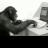 paul_reiswig's profile image