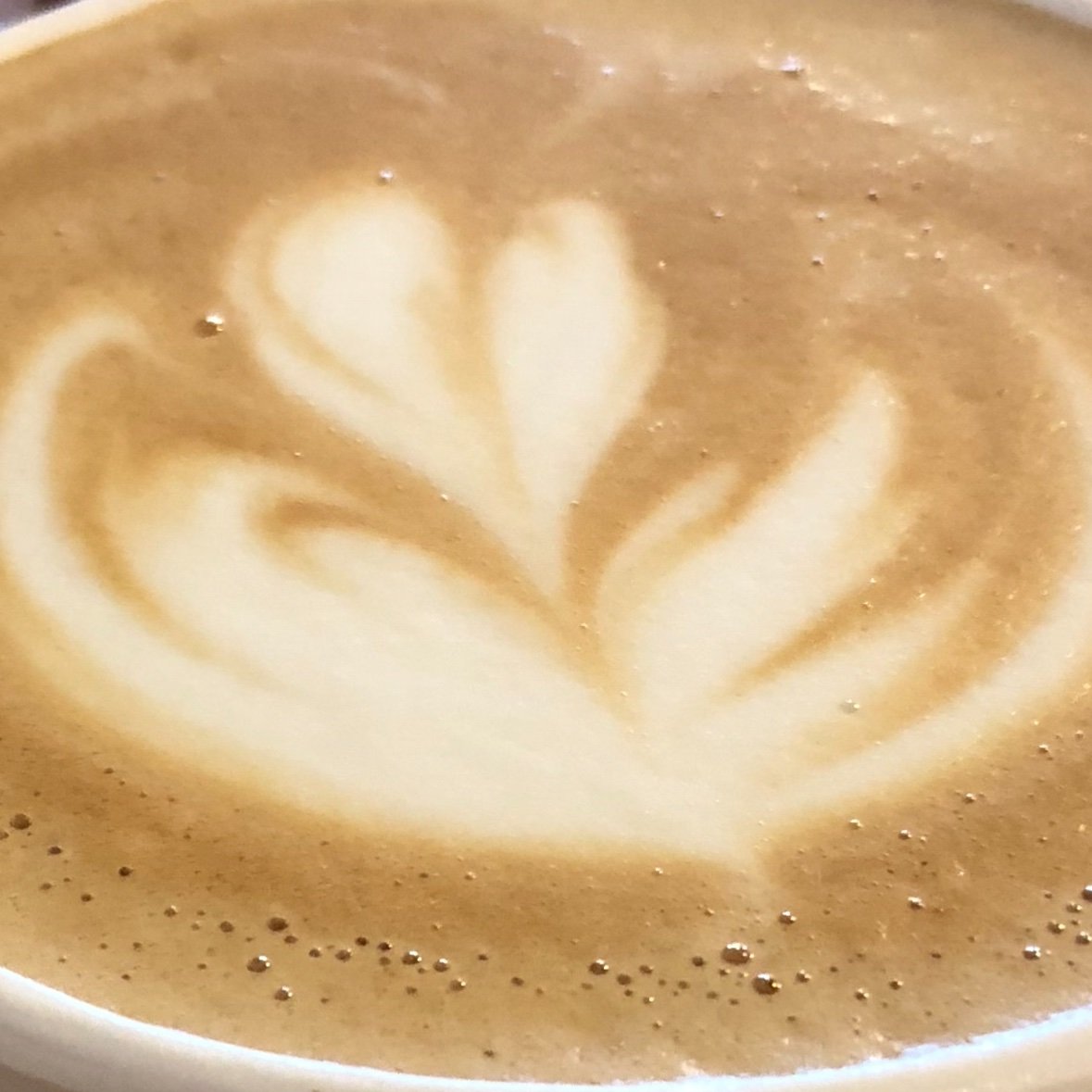 CoffeeLover_NC's profile picture. 