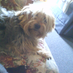 molly canninus (@mollycanninus) Twitter profile photo molly canninus (@mollycanninus) Twitter profile photo
