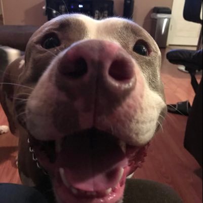 allinjes808's profile picture. 