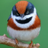 EMefkud's profile image
