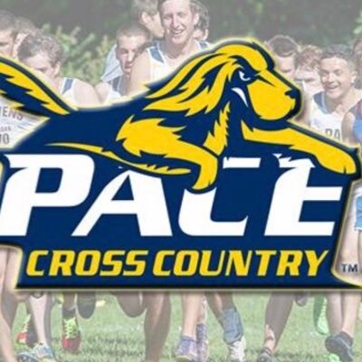 Welcome to the official Twitter for Pace University Cross Country 🐾Follow us on IG: @pacesettersXC #GoPace #SetterNation #PaceXC