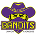 Caledon Bandits Jr C (@JrCBandits) Twitter profile photo