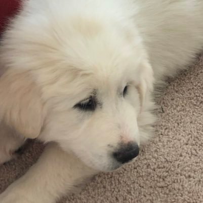 mom_nori's profile picture. 