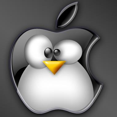 Meteorologist / Software Engineer