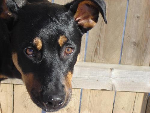 dustyjacket13's profile picture. 