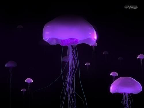 purplegonk's profile picture. things are not always as they seem...