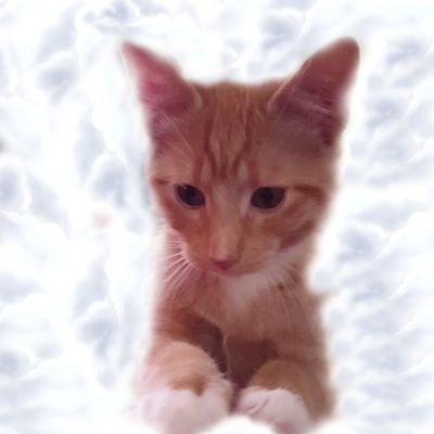 SmilersXSupport's profile picture. If you believe in yourself anything is possible. ~ Miley Cyrus