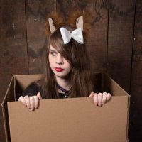 Amy Fox (@amyfoxlet) 's Twitter Profile