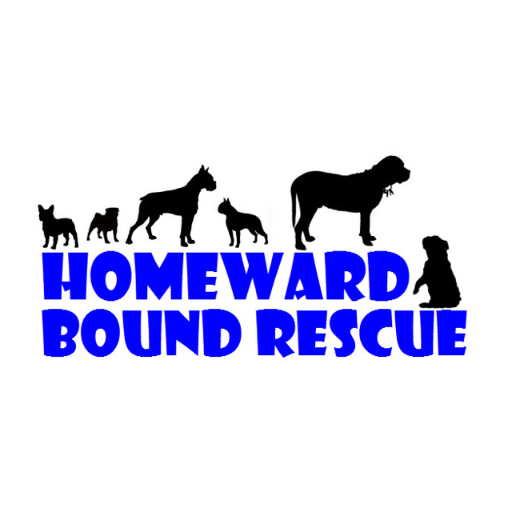 HBR is a volunteer-run, small scale dog rescue group located in Ontario, Canada