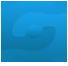 FidaHost specialized in offering  professional web services.We provide shared hosting,  virtual servers, dedicated servers and many more solutions.