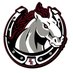 South Effingham Football (@southeffingham1) Twitter profile photo South Effingham Football (@southeffingham1) Twitter profile photo